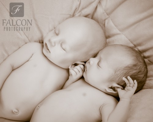 Falcon Photography newborn twins