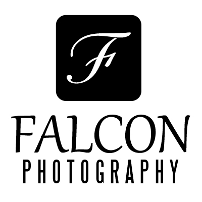 Falcon Photography